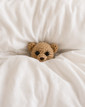 Barely Coping Bear